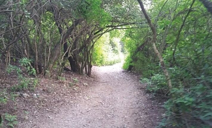 Walking trails in Islamabad 2 Walking trails in Islamabad