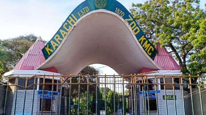 All that You Really want to Know about Karachi Zoo 1 1 147