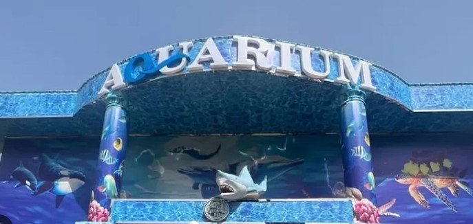 All that You Really want to Know about Karachi Zoo 5 1 148