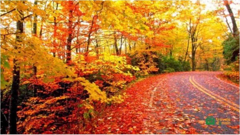 Hunza Valley: A Natural Wonderland 15 Hunza Valley