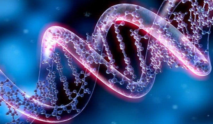 Hair transplant in Pakistan 2  Hair transplant