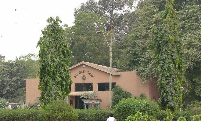 All that You Really want to Know about Karachi Zoo 6 3 122