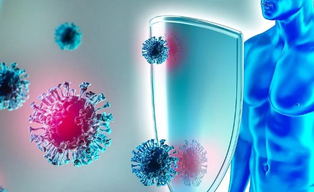 Hair transplant in Pakistan 3  Hair transplant