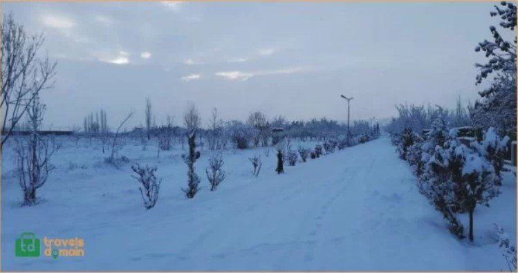 5 Day Tour Plan to Skardu: Exploring the Best Natural Tour Sites 5 5 101