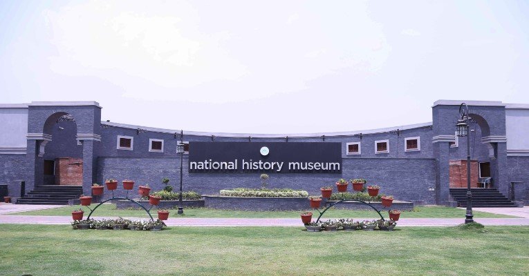 National History Museum Lahore 3 National History Museum