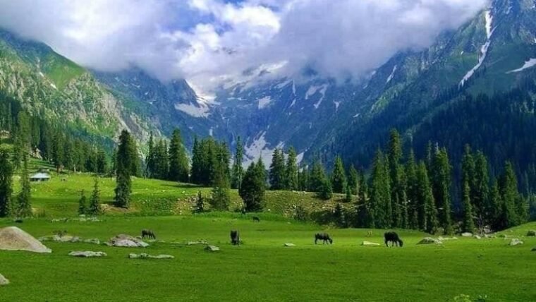 Pakistan's efforts to promote international tourism 1 efforts to promote international tourism
