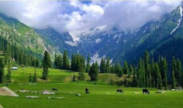 Top Places to Visit in Swat Valley: The Most Beauteous Land 5 Places to Visit in Swat